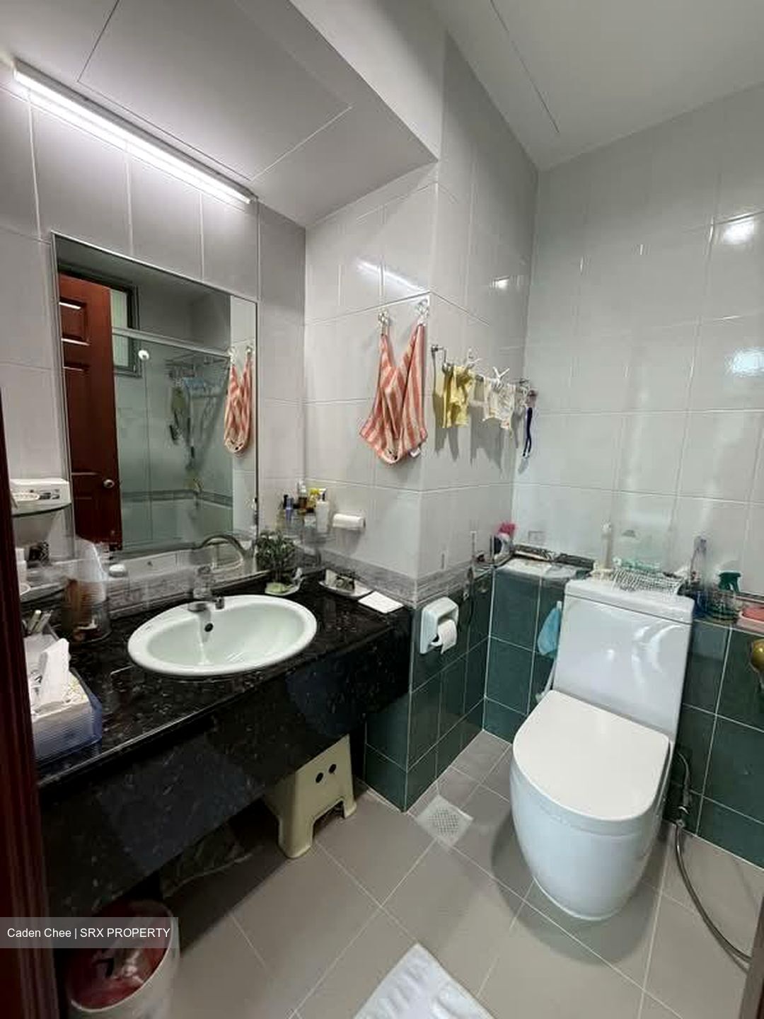Hume Park II (D21), Condominium #574911531